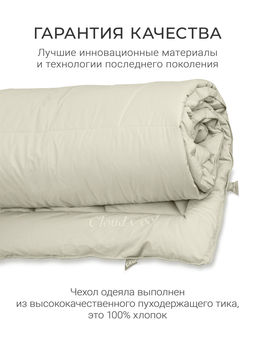 Одеяло "Cloud Cool Champagne" 175х200см всесезонное 200г/м2 ЕС-6985
