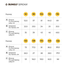 Брюки ветрозащитные Серебро с хлопковым подкладом - Bungly фото 13