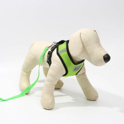 Шлейка дышащая с поводком и светоотражающей нашивкой, S, ОШ 27, ОГ 30-38,зеленая - Пушистое счастье фото 5