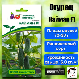 Огурец партенокарпический Кайман - Партнер фото 2