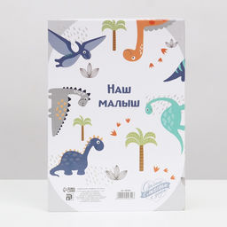 Папка для свидетельства о рождении, А5 «Динозаврики»