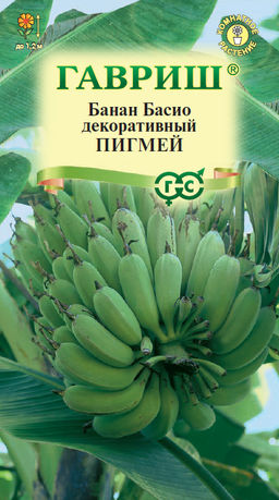 Банан Басио декоративный, Пигмей 3 шт.
