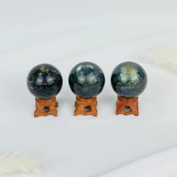 Шар из Лабрадора на подставке