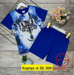 Костюм для мальчика с рисунком