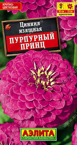 6137U Цинния Пурпурный принц 0,3гр