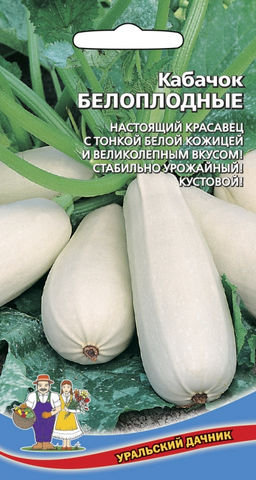 Кабачок БЕЛОПЛОДНЫЕ  Настоящий красавец с тонкой белой кожицей и великолепным вкусом! Стабильно урожайный!