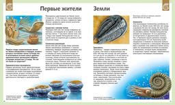 Универсальная школьная энциклопедия (нов.оф.). Перруден Ф., Камбурнак Л., Симон Ф.,... - Махаон фото 6