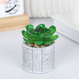 Цветочная композиция Кактус / WER-22 /уп 12/192/ микс - Галеонтрейд фото 2