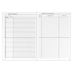 Классный журнал 10-11 класс арт. 5193