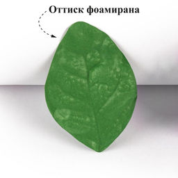 Blumentag Молд пластиковый FIOM-06 1 шт 01 Лист жасмина  фото 8