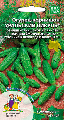Огурец УРАЛЬСКИЙ ПИКУЛЬ Обилие корнишонов и пикулей! Нарядно смотрится в банках! Устойчив к непогоде и болезням!