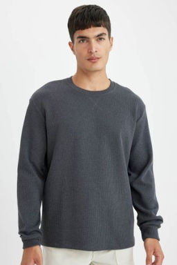 Regular Fit Bisiklet Yaka Waffle Uzun Kollu Tisort