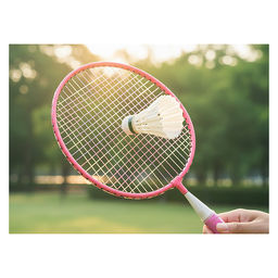 Набор Бадминтон в чехле