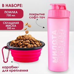 Набор поилка и силиконовая миска Котики