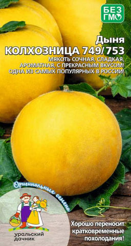 Дыня КОЛХОЗНИЦА 749/753