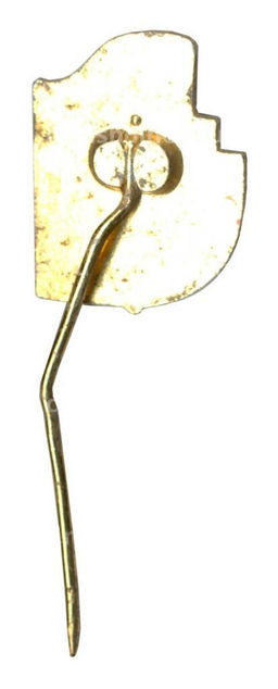 Значок Чехословацкий союз молодежи (CSM)