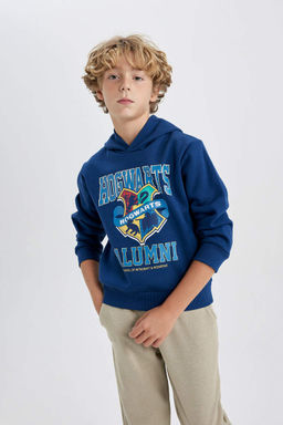 Толстая толстовка с капюшоном в стиле Гарри Поттера для мальчика - Defacto фото 3
