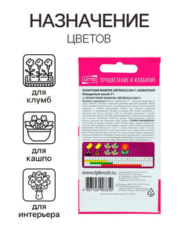 Семена комнатных цветов Пеларгония «Эйплблоссом», 4 шт., «Агроуспех»
