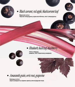 Гель для душа с пребиотиками и комбучей НОВИНКА