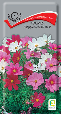 Космея Дварф сенсейшн микс (ЦВ) (1) 0,2гр. - Поиск фото 2