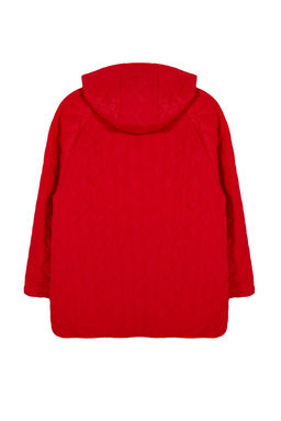 TRENDYOLMILLA Gri Kapusonlu Su Itici Kapitone Mont TWOAW23MO00131 фото 31