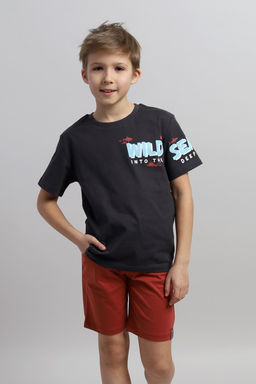 CRB wear / CSKB 90246-48-402 Комплект для мальчика (футболка, шорты),темно-серый/Ex.Cherubino фото 2