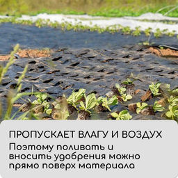 Агроткань застилочная, с разметкой, 5×3.2 м, плотность 100 г/м², полипропилен, Greengo, Эконом 50%