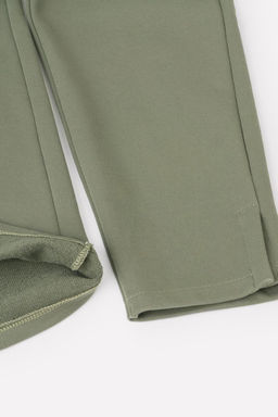 ЕВТ 4045/24/оливковый серый брюки жен