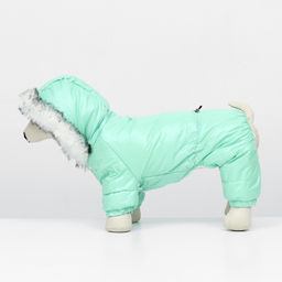 Комбинезон Глянец, размер XS (ДС 19, ОГ 28, ОШ 19 см, до 3 кг), мятный - Simaland фото 4