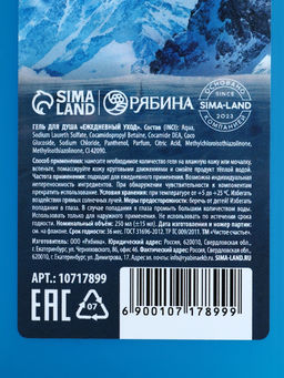 Подарочный набор «Первый среди своих», шампунь для волос и гель для душа, 2×250 мл