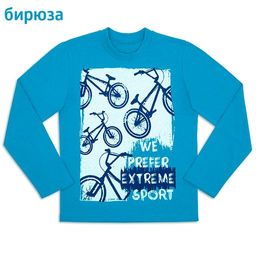 Джемпер для мальчика Велотрек - Мариша фото 3