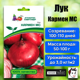 Лук репчатый Кармен МС - Партнер фото 2