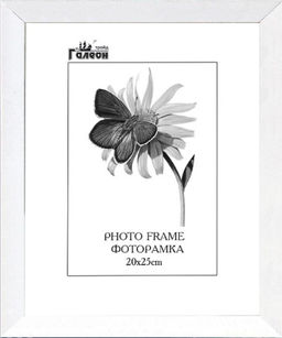 Фоторамка 20х25 / 2004A-012AL /уп10 - Галеонтрейд фото 2