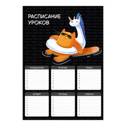Цена за 5 шт. Расписание уроков А4, арт. 72594/ 50 СУПЕРКОТ (210x297 мм, материал: мелованный картон 235 г/м?, пол