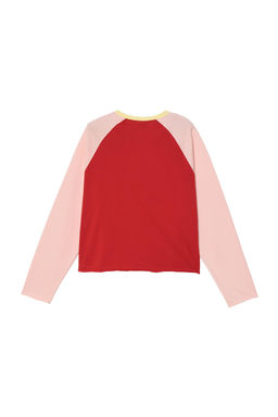 CAMISETA CROPPED FIT COLOR BLOCK / Rosas