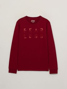 CRB wear/FWSM 60065-32 Джемпер мужской, коричнево-бордовый/Ex.Cherubino
