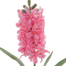 Цветок искусственный "Гиацинт", L10 W6 H43 см