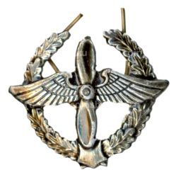 Эмблема Военно-воздушные войска