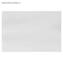 Цена за 4 шт. Картон белый А4, 8 листов, Calligrata, мелованный, плотность 240 г/м², в папке, МИКС