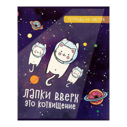 Комплект тетрадей из 5 штук, 48 листов в клетку Calligrata «Космокот», обложка мелованный картон, блок офсет