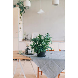 Горшок для цветов с поддоном «Ротанг», 4.7 л, d=15 см, h=14 см, пластиковый, коричневый