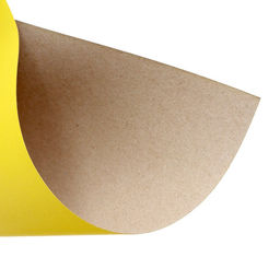 Картон цветной А5, 8 листов, 8 цветов, Дельфины, немелованный 220 г/м2, в папке - Calligrata фото 4