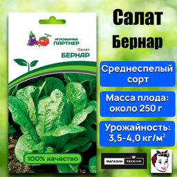 3152P Салат кочанный БЕРНАР 0,5гр