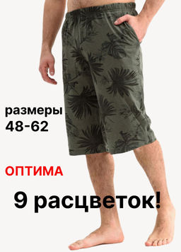 Бриджи мужские "Ассортимент"