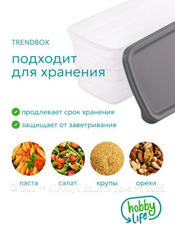Контейнер пищевой TRENDBOX прозрачный 2.6л длинный высокий