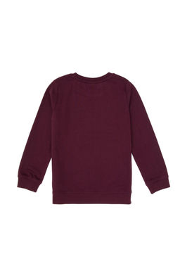 Erkek _ocuk Bordo Bisiklet Yaka Sweatshirt - U.s. polo assn фото 7