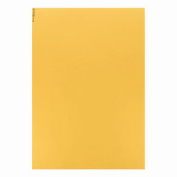 VISTA-ARTISTA Бумага цветная металлик TKM-A3 300 г/м2 A3 29.7 х 42 см 25 шт. 65 под золото (gold)