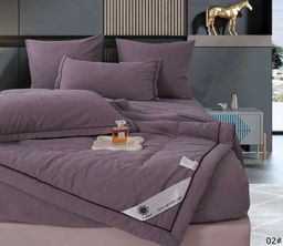 Одеяло Boris E-Shine Бархат Сатин с простыней на резинке по кругу и наволочками ODBORSH02 Евро