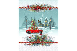 Набор полотенец рогожка Купон (2 шт.) в сумочке арт. РК 216 ад (13245-1) - Наталья-текстиль фото 5