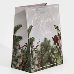 Пакет подарочный новогодний ламинированный «Еловый аромат», MS 18 х 23 х 10 см
